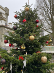 Weihnachtsbaum im Park des Seniorenheimes Stiftung Haus Wilhelmine